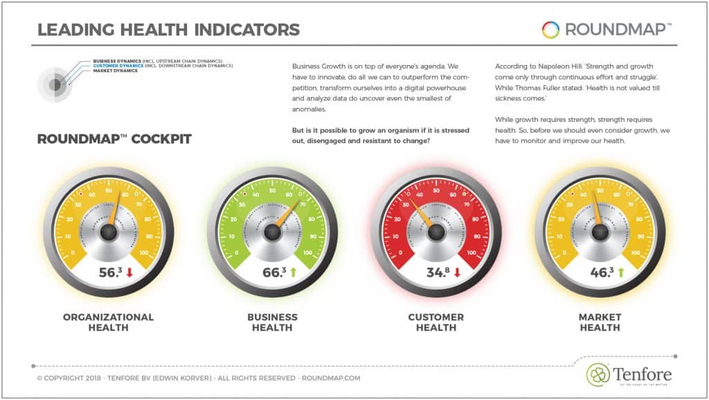 The Health-Growth Paradox 2