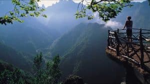 nature